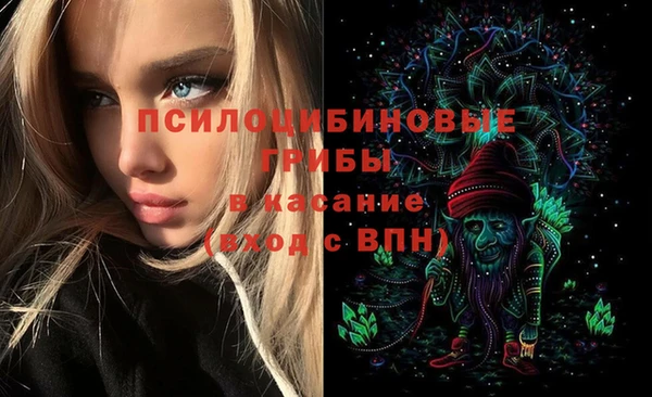 кокс Алзамай