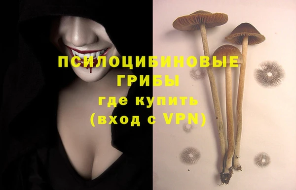 наркотики Абаза