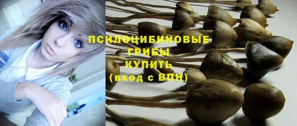 хмурый Протвино