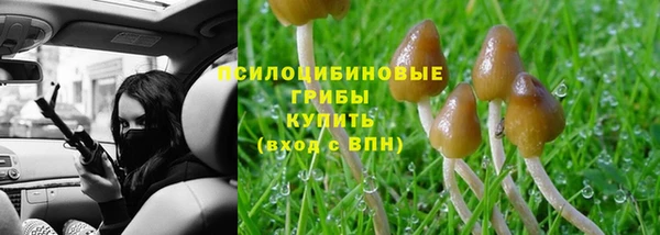 мдпв Приозерск