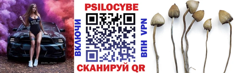 купить наркотики сайты  Белая Калитва  Галлюциногенные грибы MAGIC MUSHROOMS 